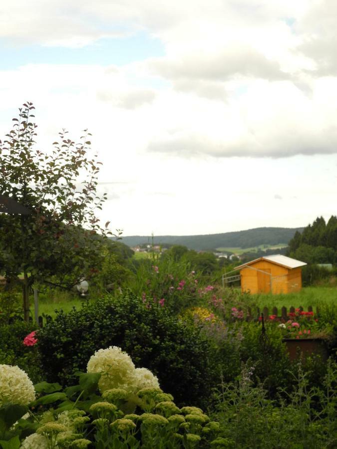 Villa Luzia Meuspath Luaran gambar